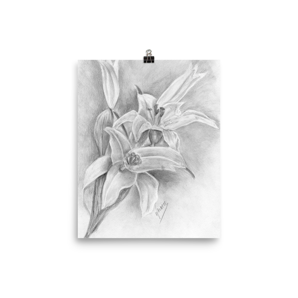 Dhilish Art - Drawing simple realistic lily flower Watch video here:  https://youtu.be/-HH_pzWmvQk . . . . . . . . #howto #draw #simple #lily  #realistic #lilyflower #flower #flowers #stepbystep #awesome #instapost  #instgram #